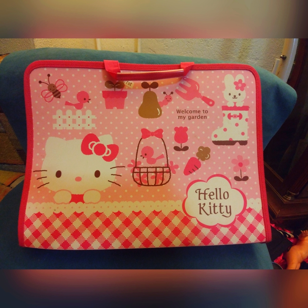 Hello Kitty Case - image 1